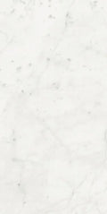 Stontech Stone.01 24x48 Glossy Stone Look Porcelain Tile