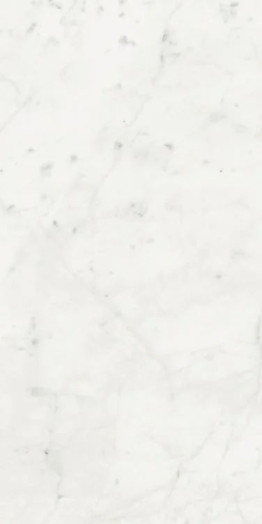 Stontech Stone.01 24x48 Glossy Stone Look Porcelain Tile