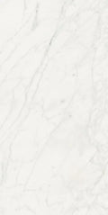 Stontech Stone.01 24x48 Glossy Stone Look Porcelain Tile