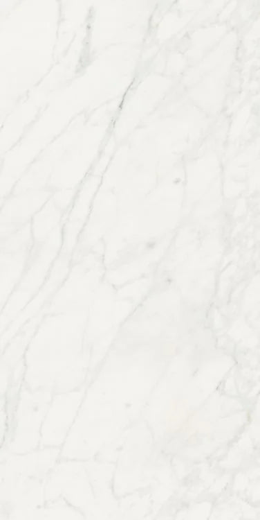 Stontech Stone.01 24x48 Glossy Stone Look Porcelain Tile