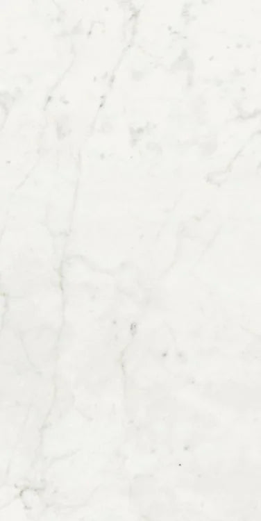 Stontech Stone.01 24x48 Glossy Stone Look Porcelain Tile