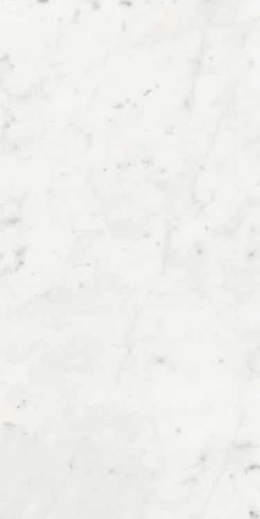 Stontech Stone.01 24x48 Glossy Stone Look Porcelain Tile