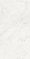 Stontech Stone.01 24x48 Glossy Stone Look Porcelain Tile