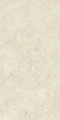 Stontech Stone.02 24x48 Natural Stone Look Porcelain Tile