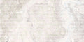 Stream Bone 12x24 Porcelain Tile