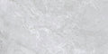 Stream Silver 12x24 Porcelain Tile