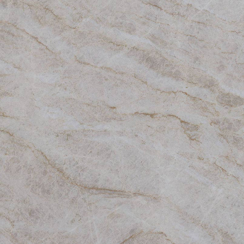 Close-up of Taj Mahal quartzite with a cream background and subtle beige veining.