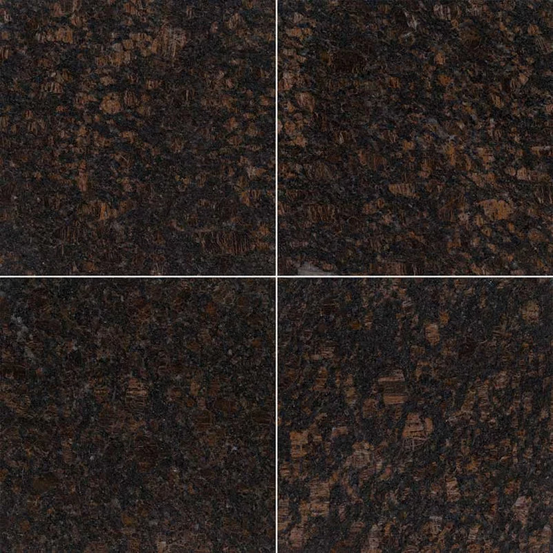 Tan Brown 12x12 Polished Granite Tile