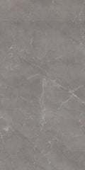 Tekali Gris 24x48 Polished Porcelain Tile