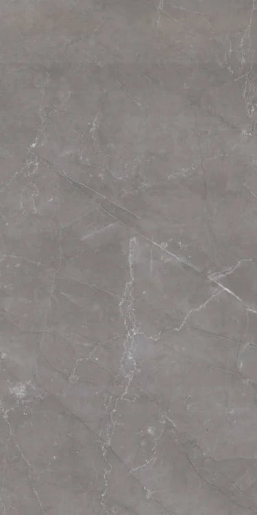 Tekali Gris 24x48 Polished Porcelain Tile