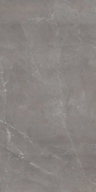 Tekali Gris 24x48 Polished Porcelain Tile