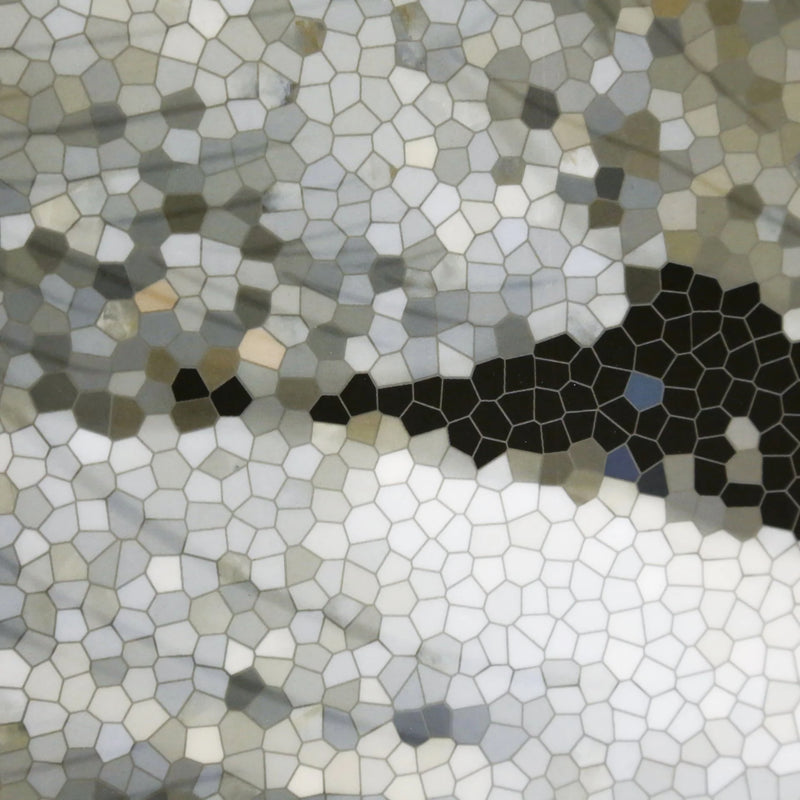 Tele Di Marmo Revolution Patagonia 2x2-12x12 Matte Porcelain Mosaic