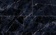 Tele Di Marmo Revolution Calacatta Black 24x48 Polished Deco Porcelain Tile