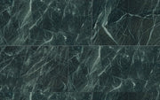 Tele Di Marmo Revolution Verde St. Denis 24x48 Matte Porcelain Tile
