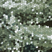 Tele Di Marmo Revolution Verde St. Denis 2x2 Polished Porcelain Mosaic