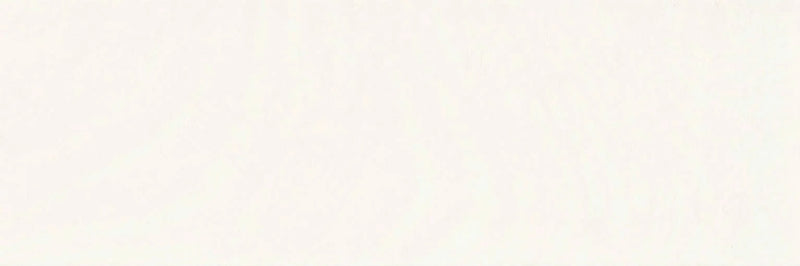 Tempo Series White 10x30 Plank Matte Porcelain Tile