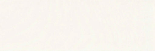 Tempo Series White 10x30 Plank Matte Porcelain Tile