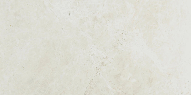 Terra Nova 12x24 Honed Marble Tile