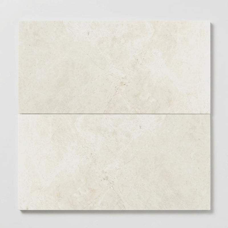 Terra Nova 12x24 Honed Marble Tile close-up
