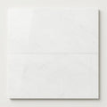 Thassos CLASSIC White Polished 12x24 Marble Tile close-up