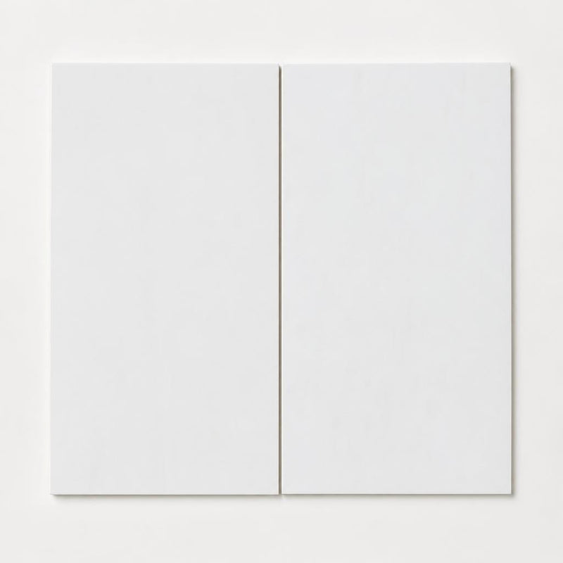 Thassos White 12x24 Honed Natural Marble Tile close-up