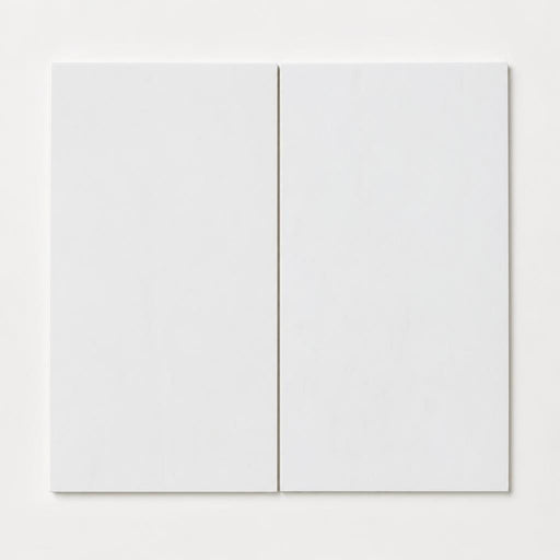 Thassos White 12x24 Honed Natural Marble Tile close-up