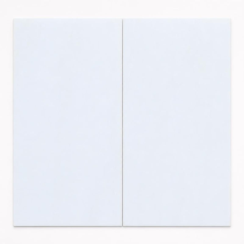 Thassos White 12x24 Polished Natural Marble Tile close-up