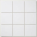 Thassos White (Greek) Marble 12x12 Honed Tile close-up