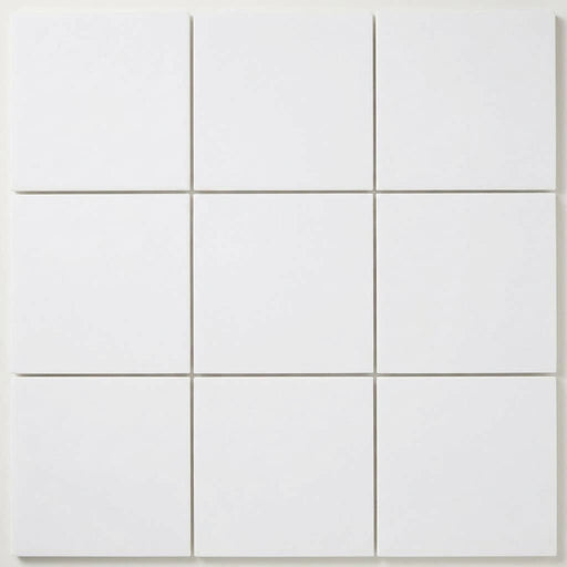 Thassos White (Greek) Marble 12x12 Honed Tile close-up