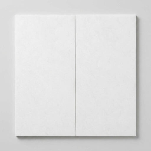 Thassos White (Greek) Marble 12x24 Honed Tile close-up