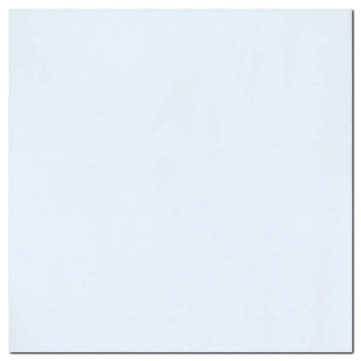 Thassos White 12x24 Polished Natural Marble Tile