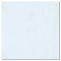 Thassos White AA Select 12x12 Polished Natural Marble Tile