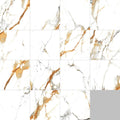 Theia 23.6x23.6 Porcelain Tile
