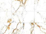 Theia 35.4x35.4 Matte Porcelain Tile