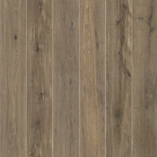 Bio Attitude Cortex 8x48 Matte Wood Look Porcelain Plank