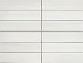 Themar Bianco Lasa Matte 3x12 Surface Bullnose Porcelain Trim