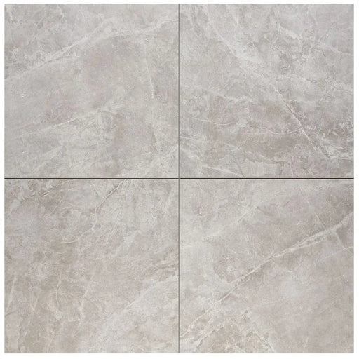 Themar Grigio Savoia 24x24 Matte Porcelain Tile