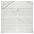 Themar Statuario V 1/2x12 Pencil Bullnose Matte Ceramic/Porcelain Trim