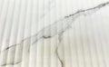 Thomas 12x36 Matte Ceramic Wall Tile