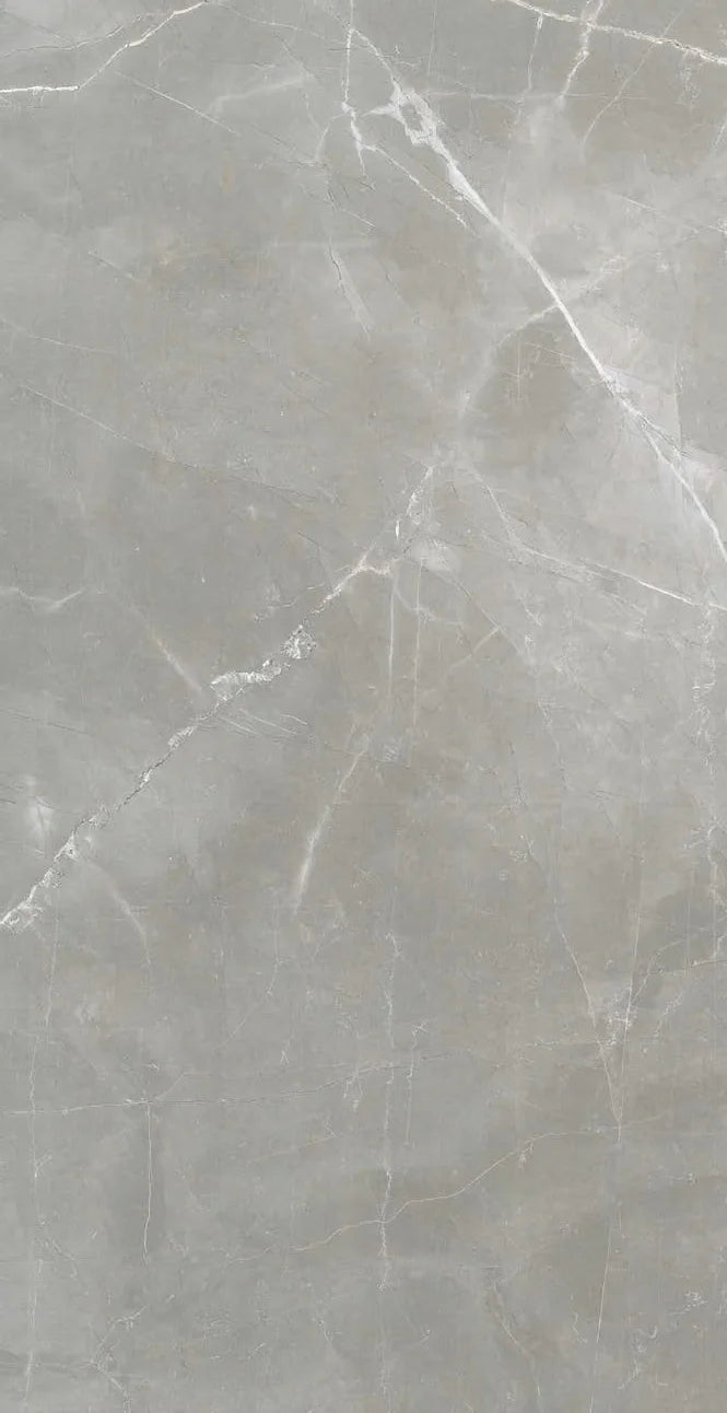 Timeless Amani Grey 24x48 Polished Marble Look Porcelain Tile