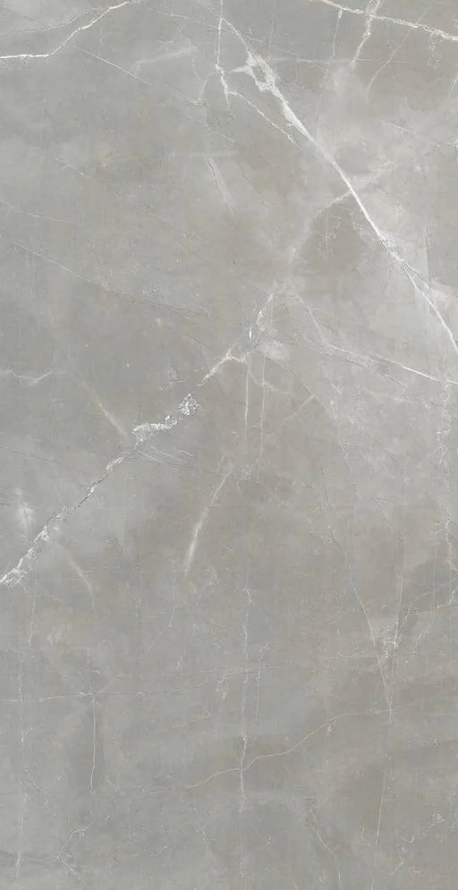 Timeless Amani Grey 24x48 Matte Marble Look Porcelain Tile