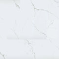 Trecento Calacatta Serra 12x24 Low Gloss LVT Tile