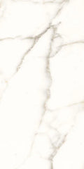 Trilogy Calacatta White Lux 24x48 Marble Look Porcelain Tile