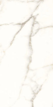 Trilogy Calacatta White Lux 24x48 Marble Look Porcelain Tile