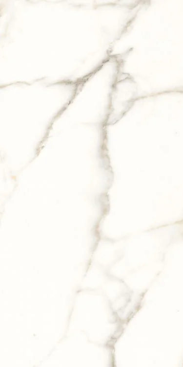 Trilogy Calacatta White Lux 24x48 Marble Look Porcelain Tile