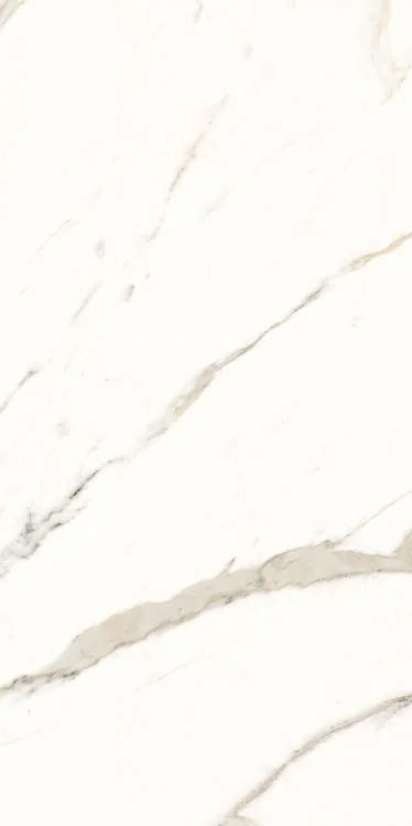 Trilogy Calacatta White Lux 24x48 Marble Look Porcelain Tile