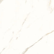 Trilogy Calacatta White Soft 24x24 Marble Look Porcelain Tile