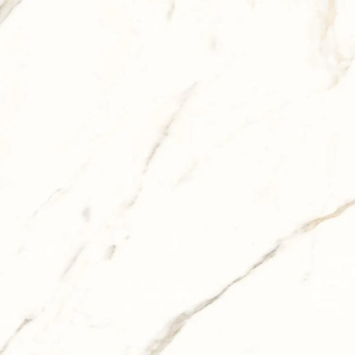 Trilogy Calacatta White Soft 24x24 Marble Look Porcelain Tile