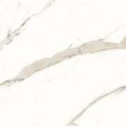 Trilogy Calacatta White Soft 24x24 Marble Look Porcelain Tile