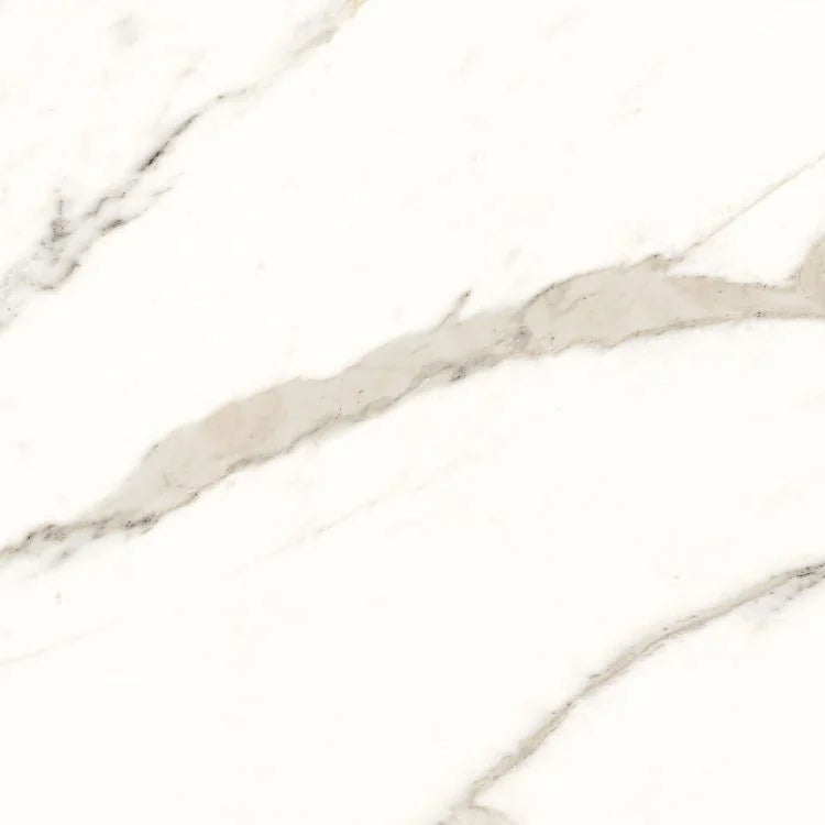 Trilogy Calacatta White Soft 24x24 Marble Look Porcelain Tile